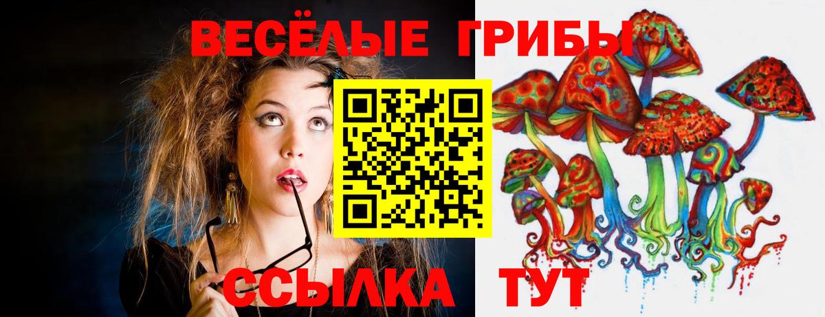 Псилоцибиновые грибы Cubensis Гусев